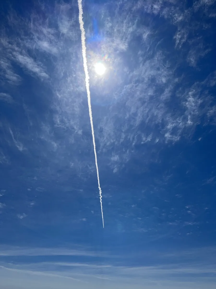 Apr 2025 - Free Bird