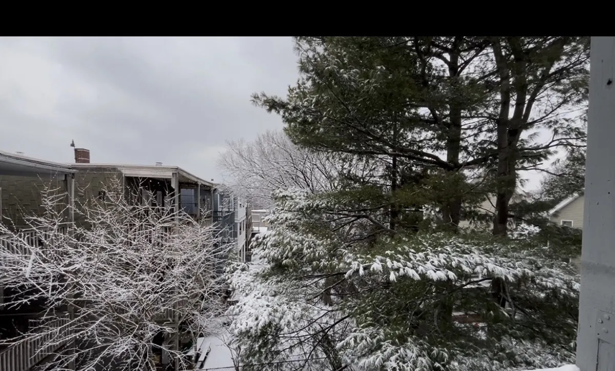 Dec 2025 - Photography 2