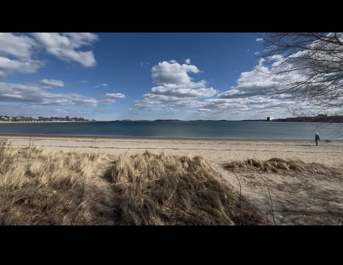 Feb 2025 - Photography 2