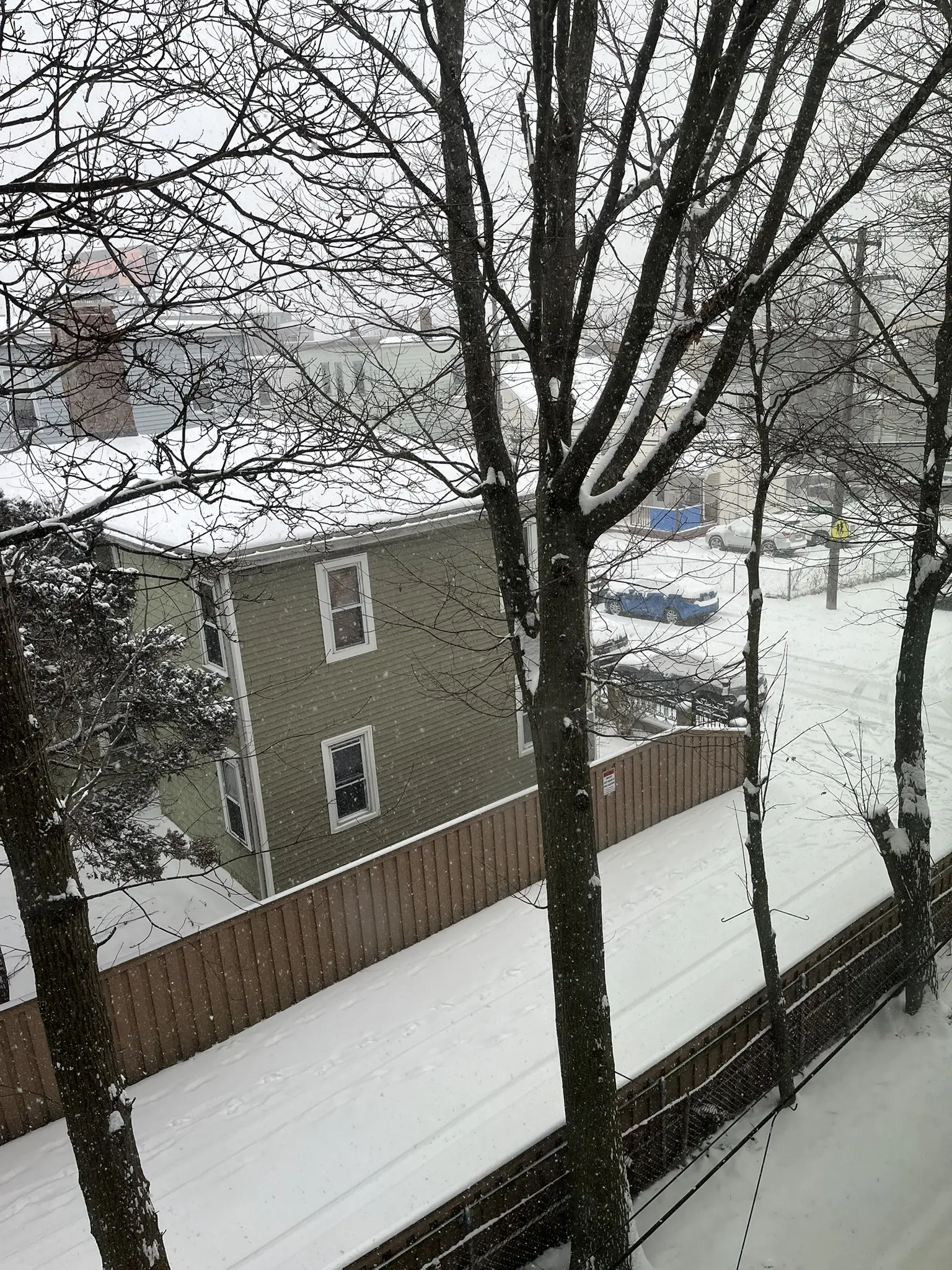 Feb 2026 - Photography 1