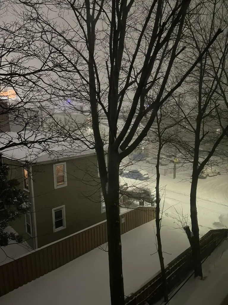 Feb 2026 - Photography 2