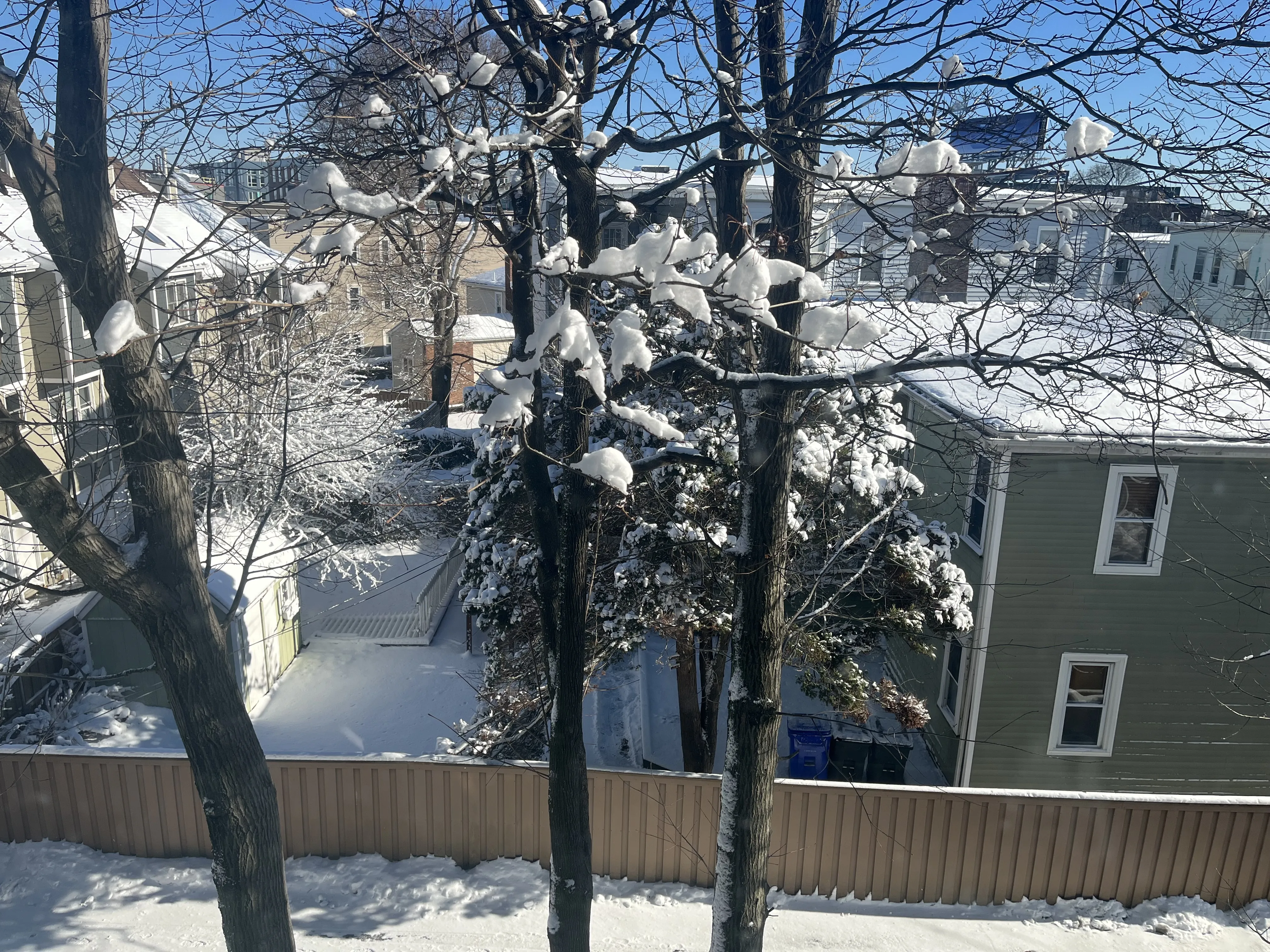 Jan 2025 - Photography 1