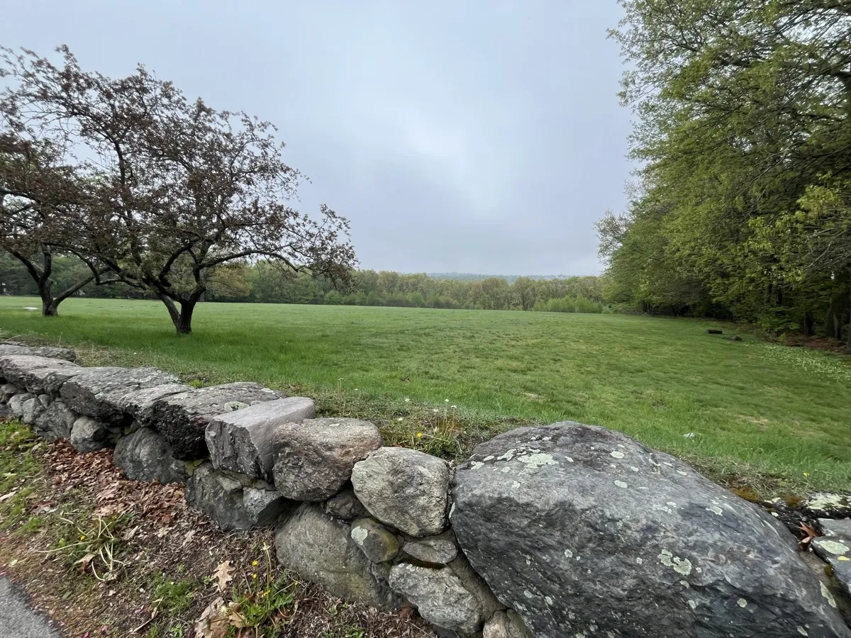 Mar 2025 - Photography 2