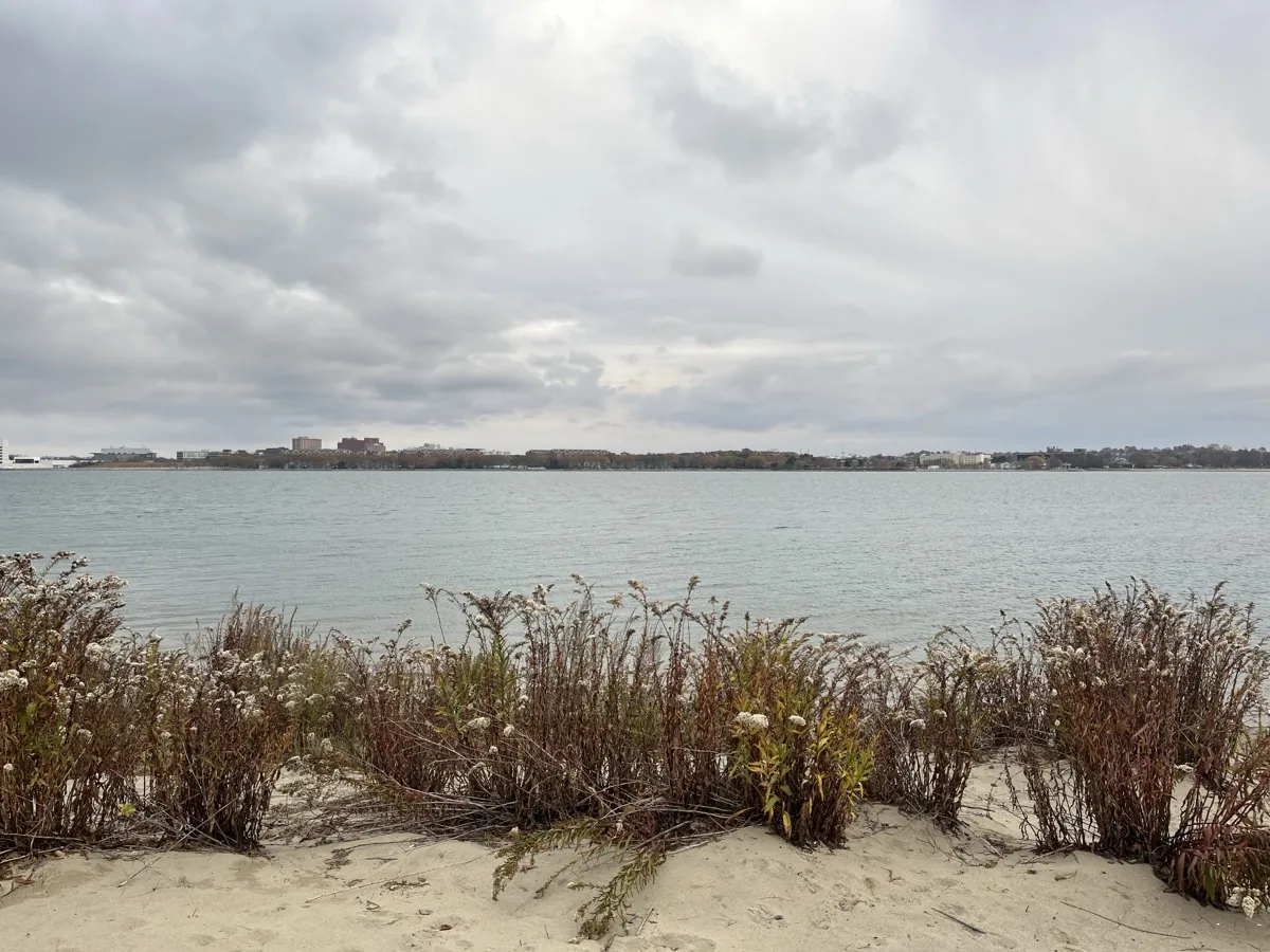 Nov 2025 - Photography 1