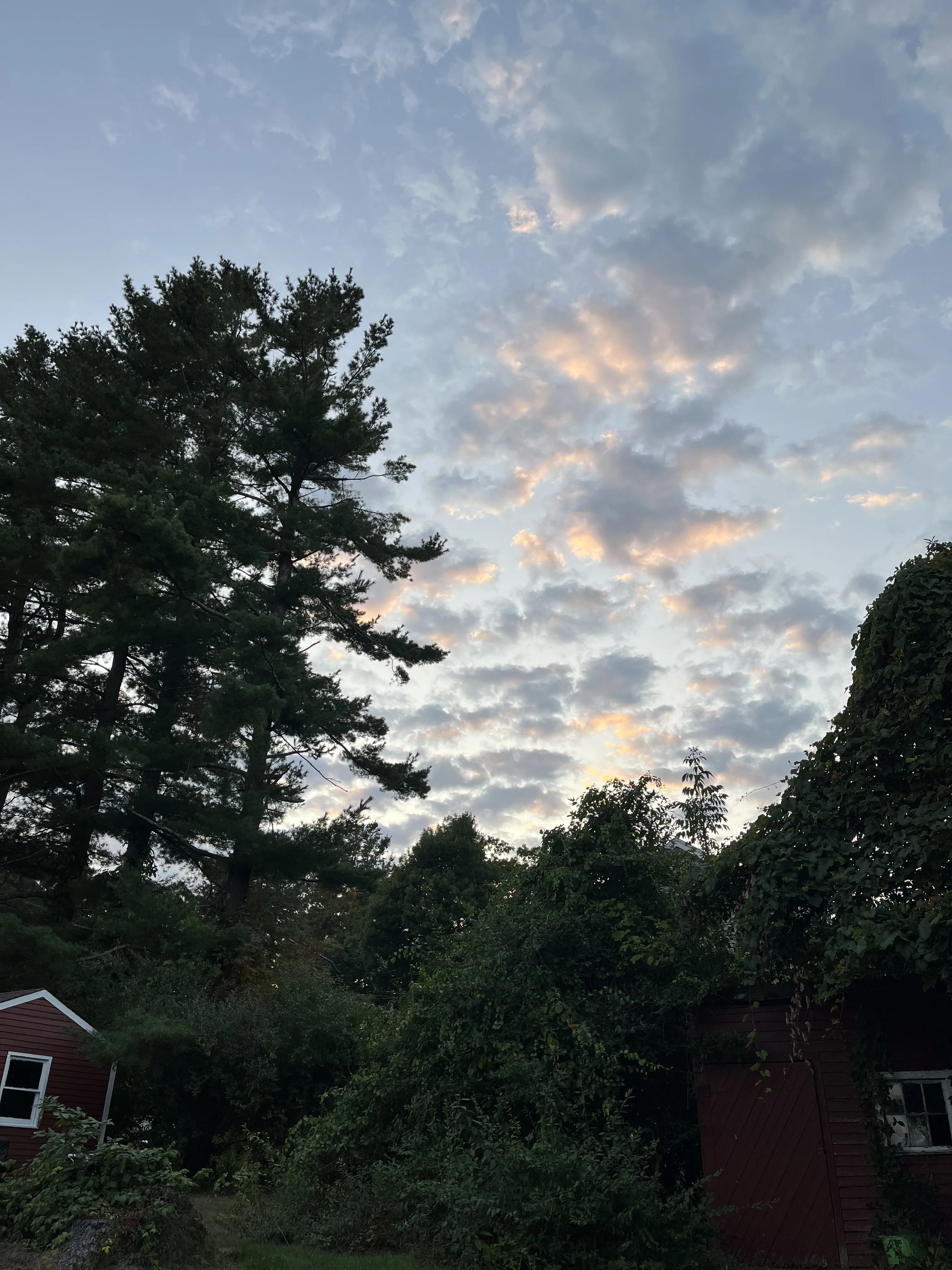 Sep 2024 - Photography 1