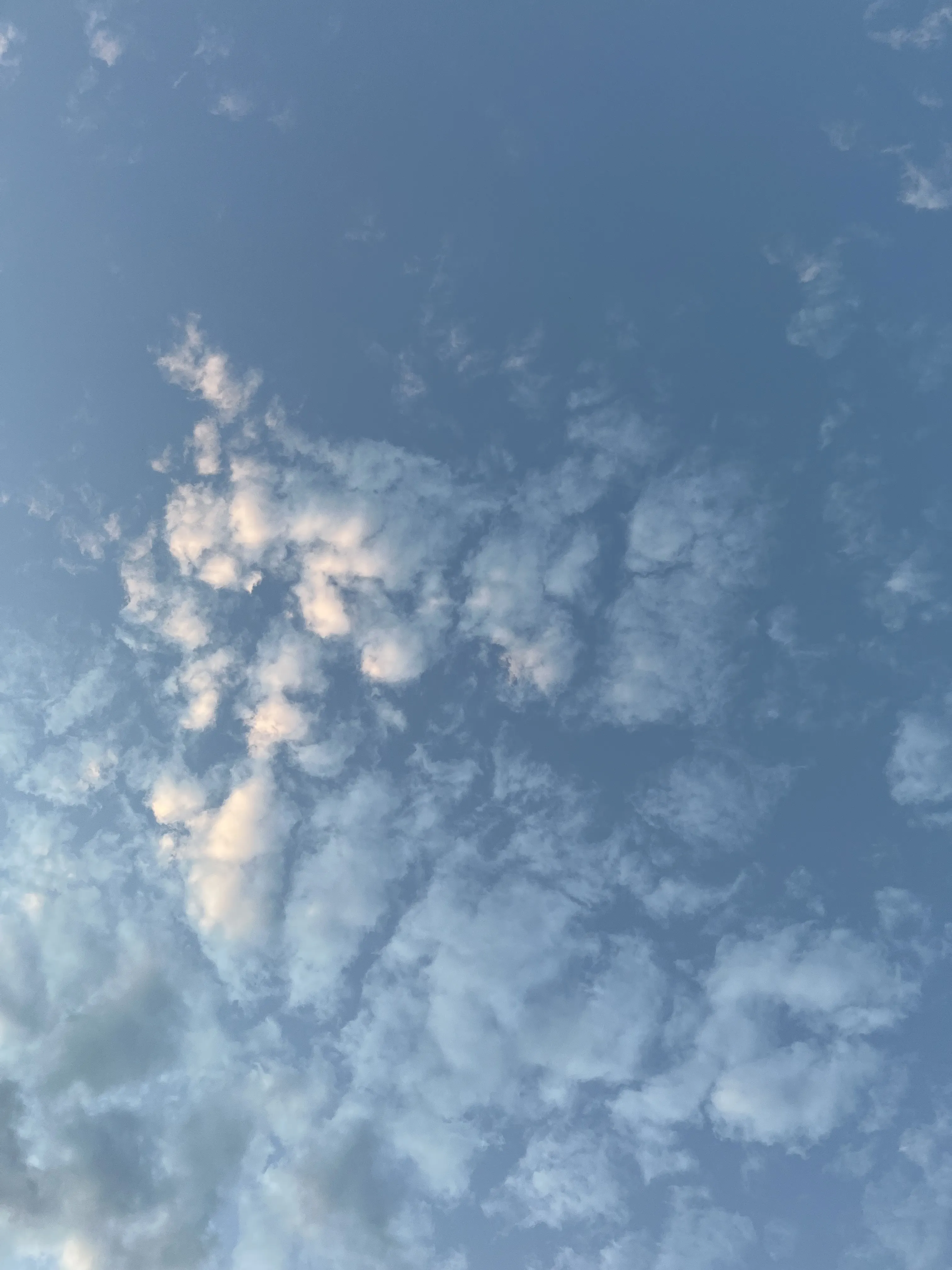 Sep 2024 - Photography 2