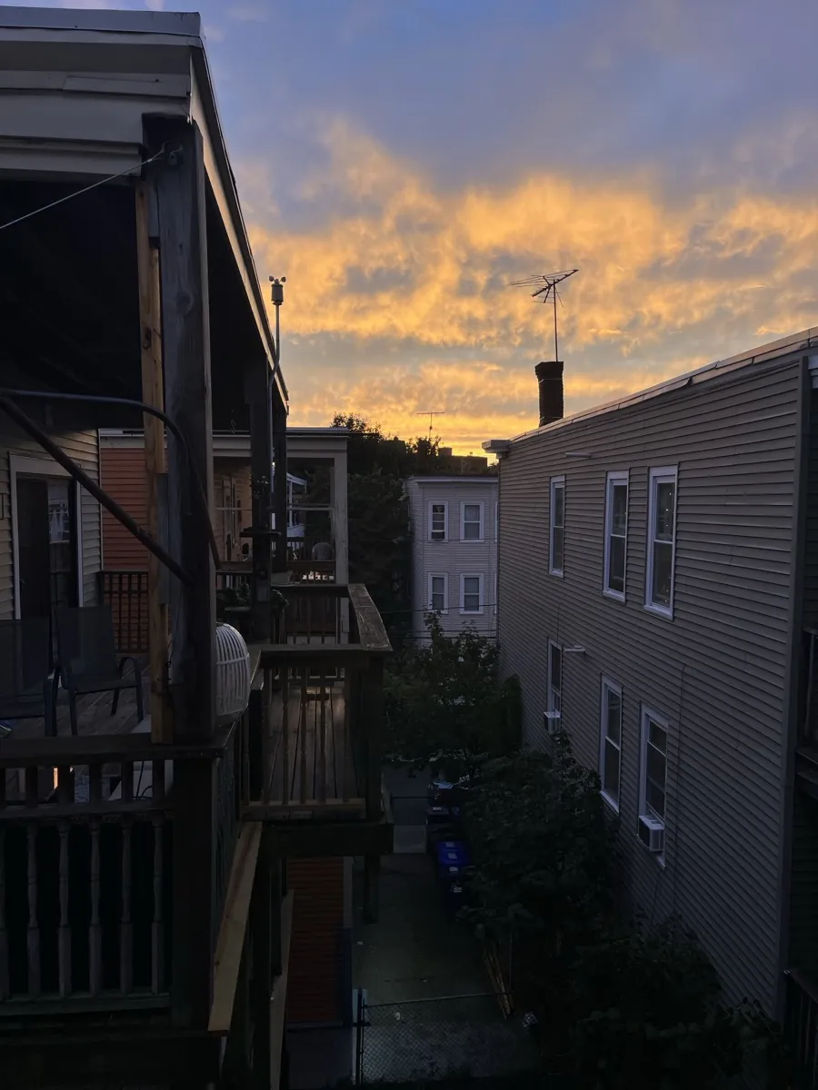 Sep 2025 - Photography 3